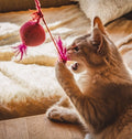 Play & Enrichment