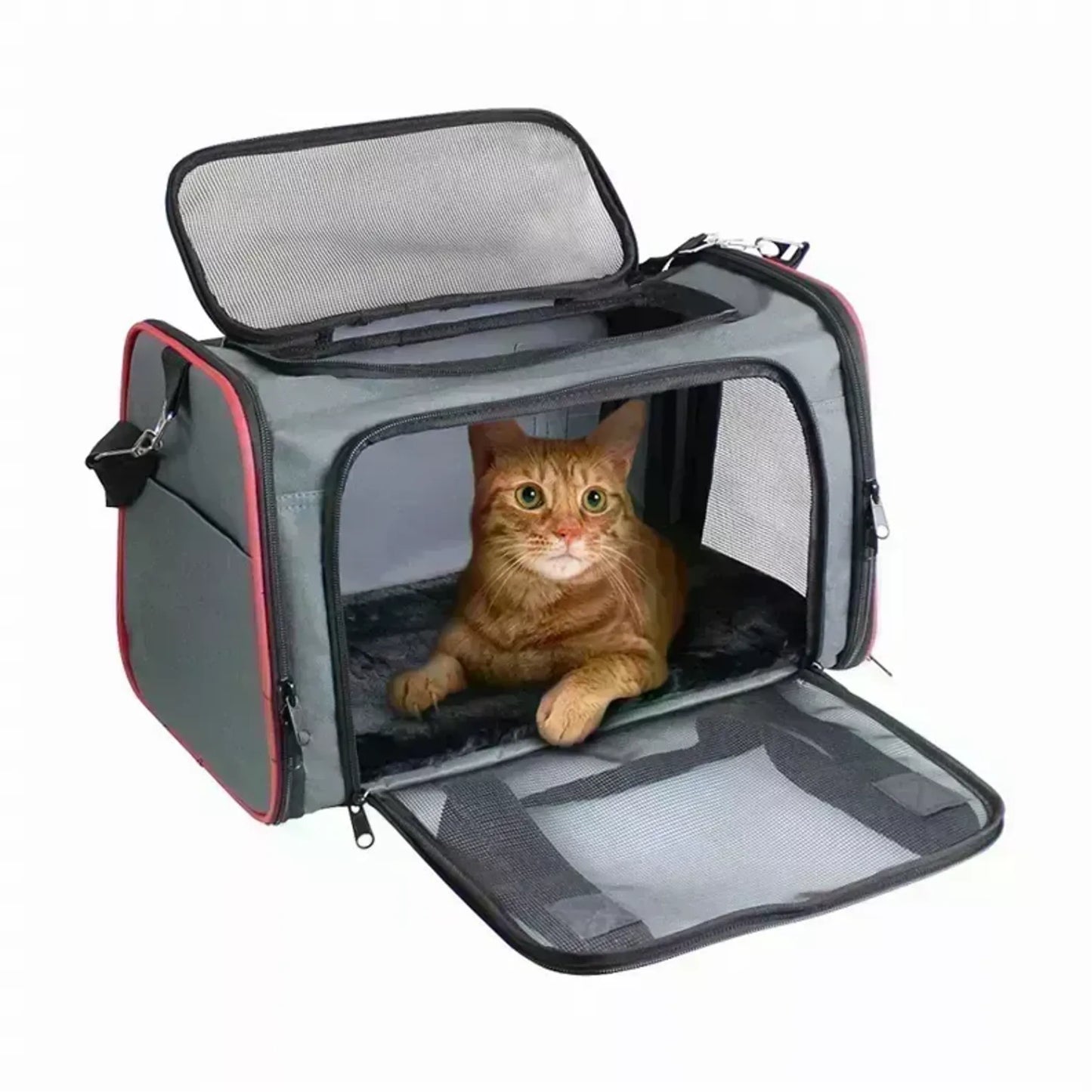 Collapsible Pet Carrier