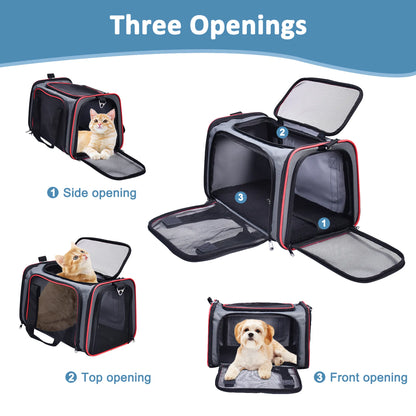 Collapsible Pet Carrier