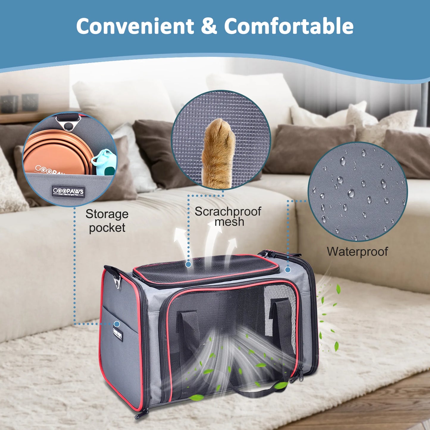 Collapsible Pet Carrier