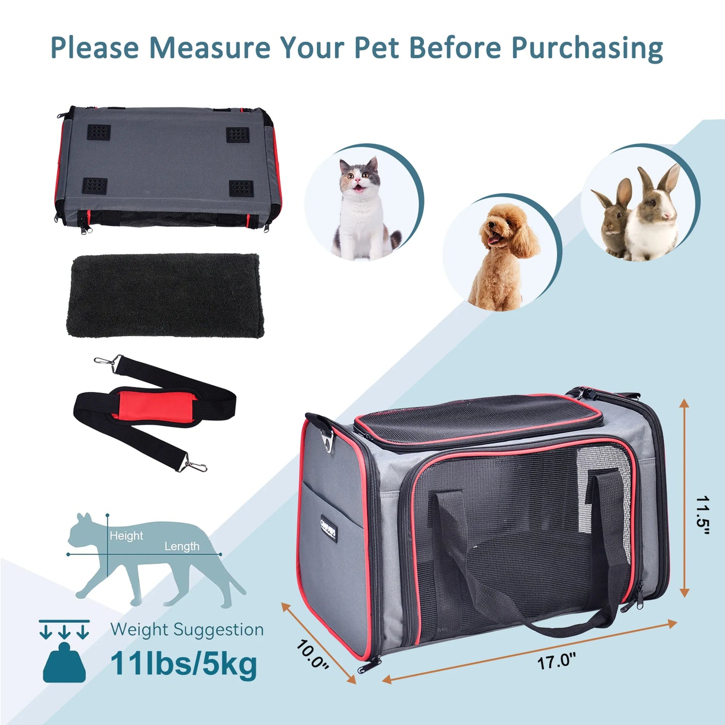 Collapsible Pet Carrier