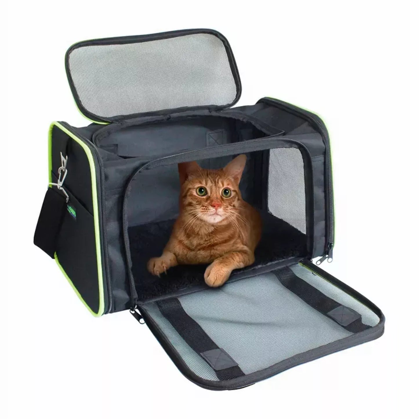 Collapsible Pet Carrier
