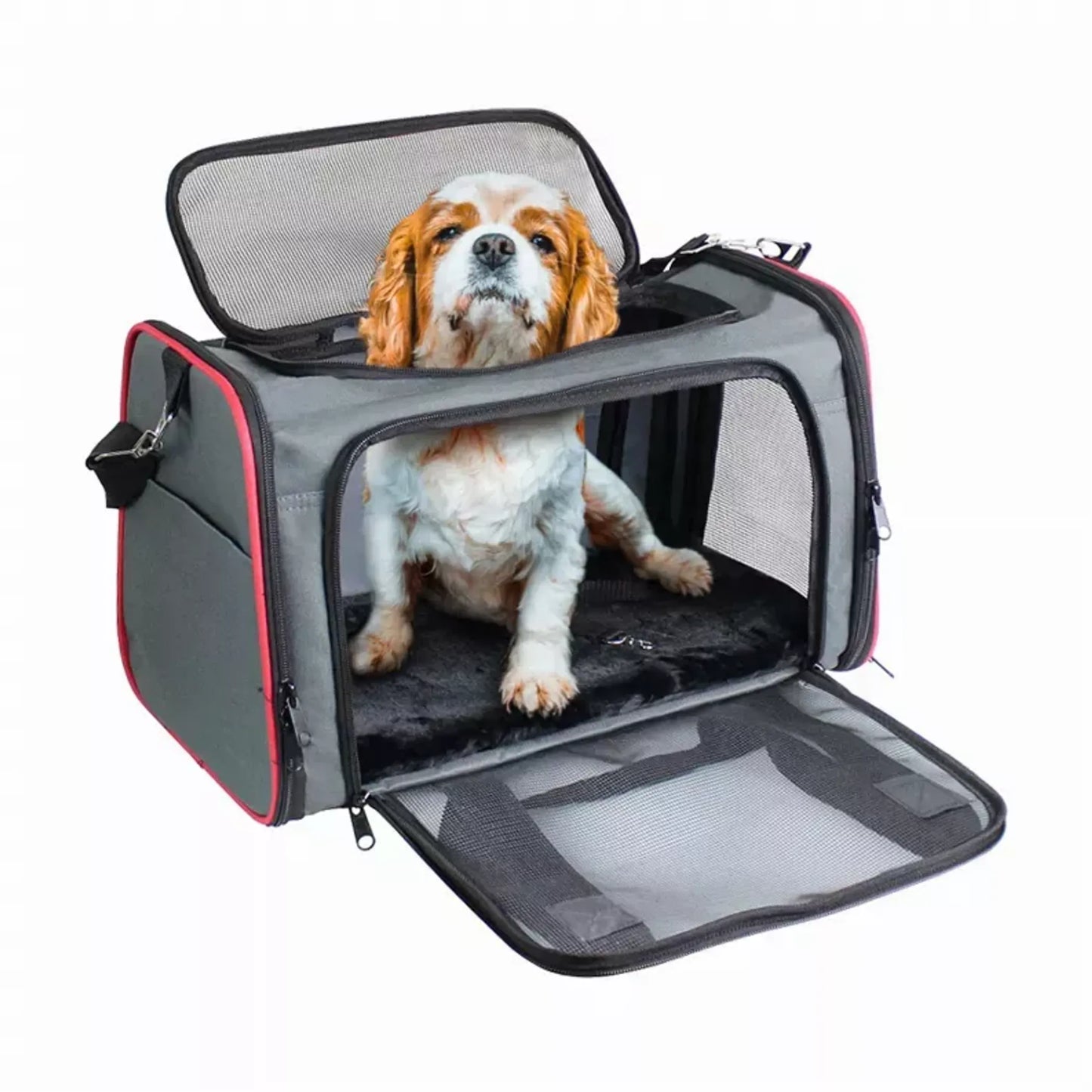 Collapsible Pet Carrier