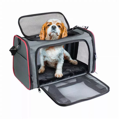 Collapsible Pet Carrier