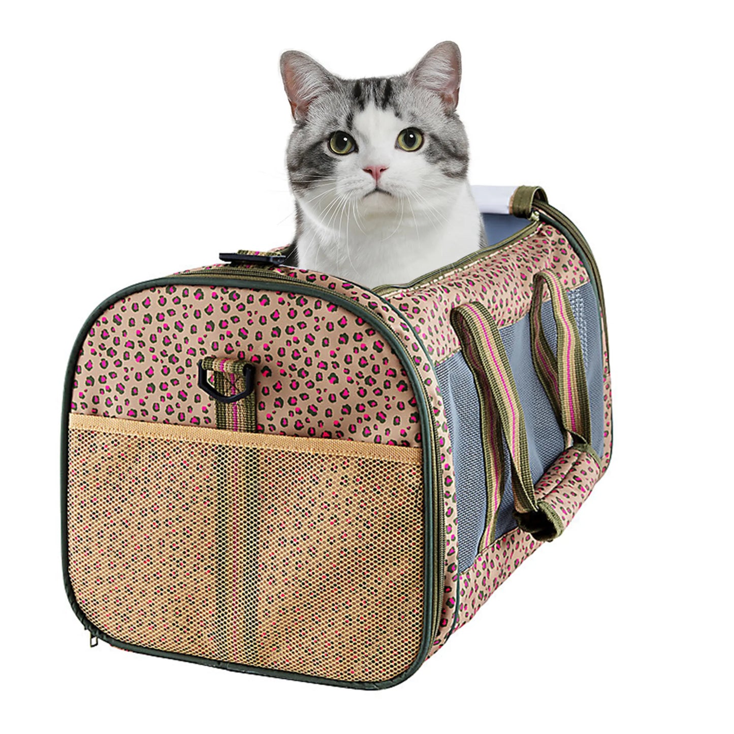 Collapsible Pet Carrier