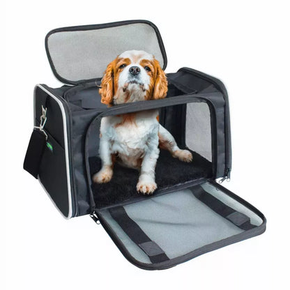 Collapsible Pet Carrier