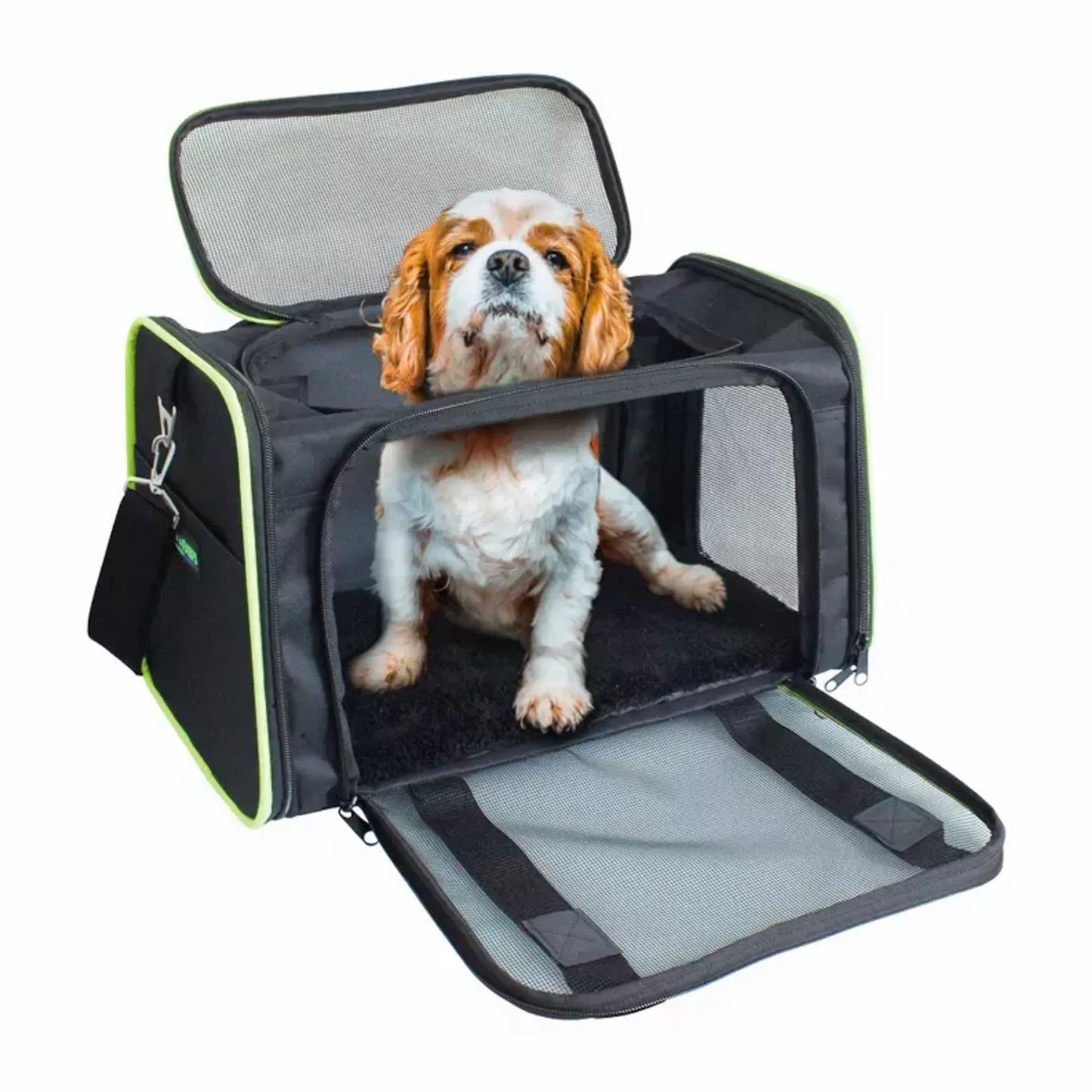Collapsible Pet Carrier