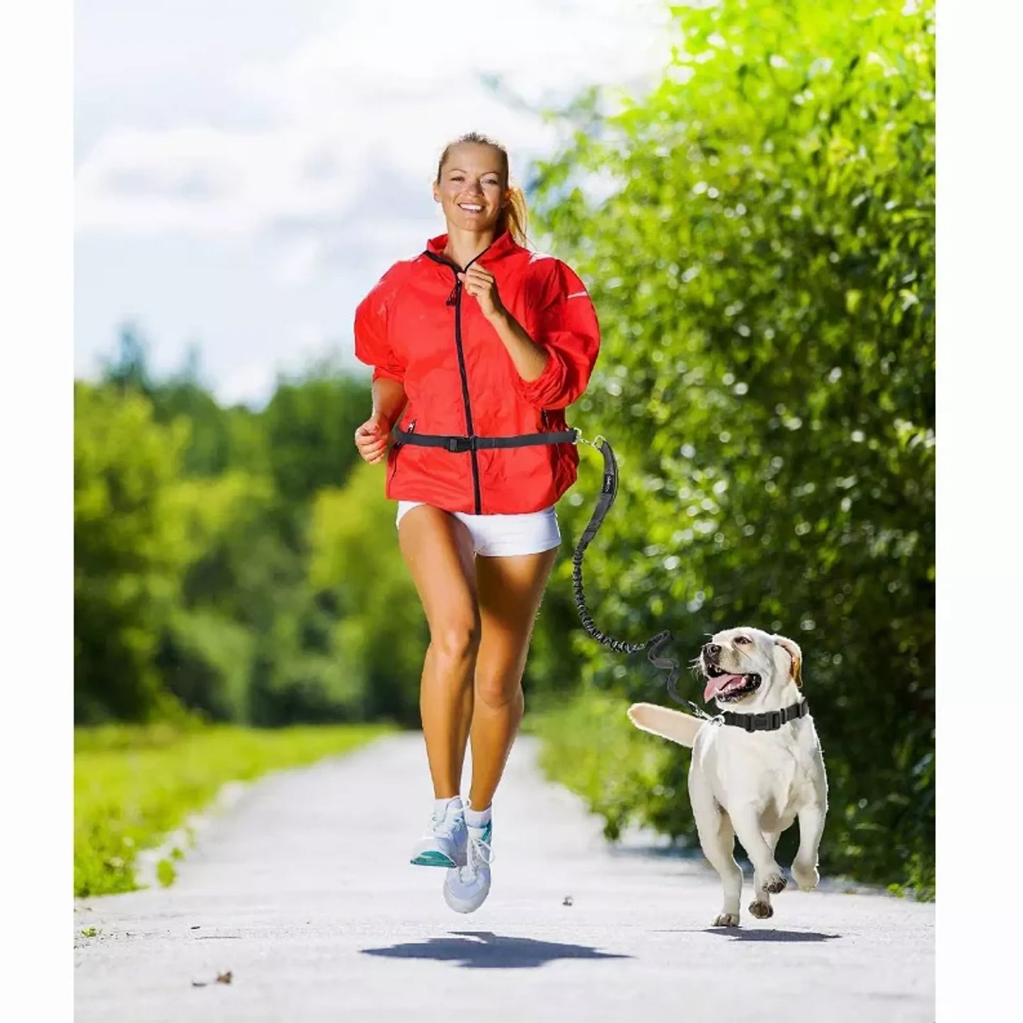 COOPAW Hands Free Dog Leash