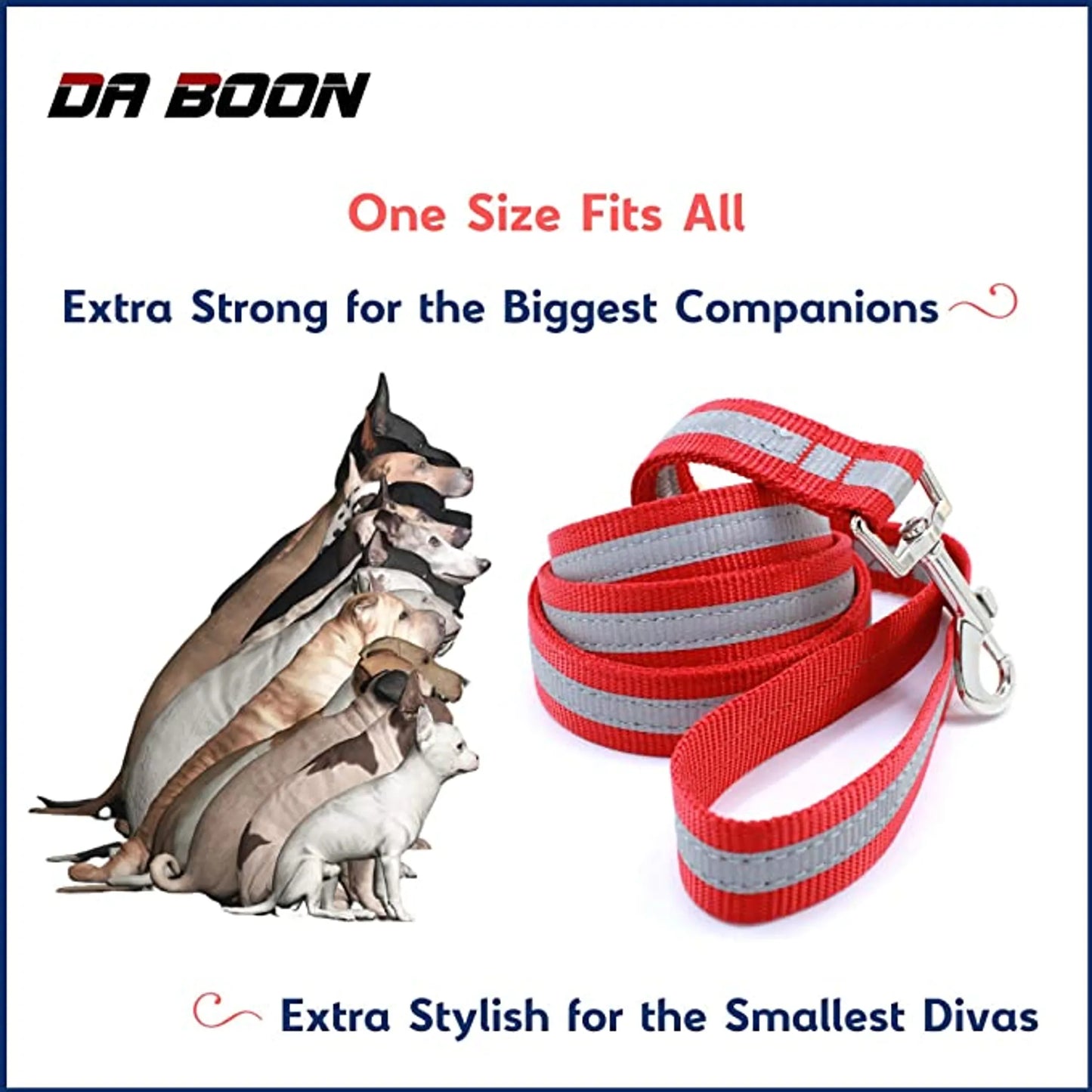 Da Boon Double-Sided Reflective Leash