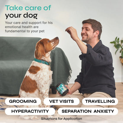 Calming Chews for Dogs Anxiety Relief