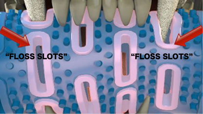 Natural Rubber Bone Toothbrush Toy