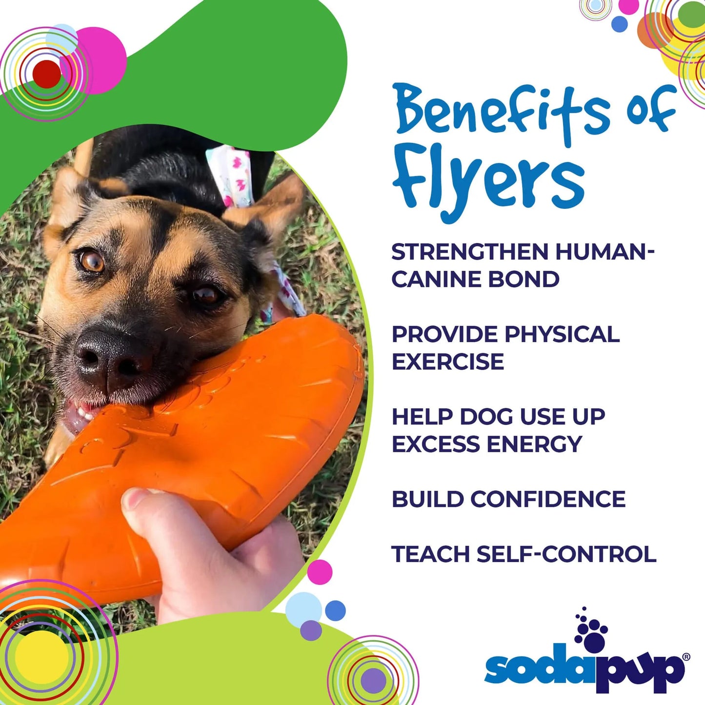 Top Flyer Durable Frisbee