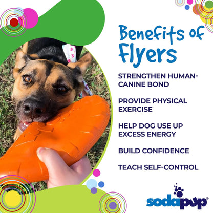 Top Flyer Durable Frisbee