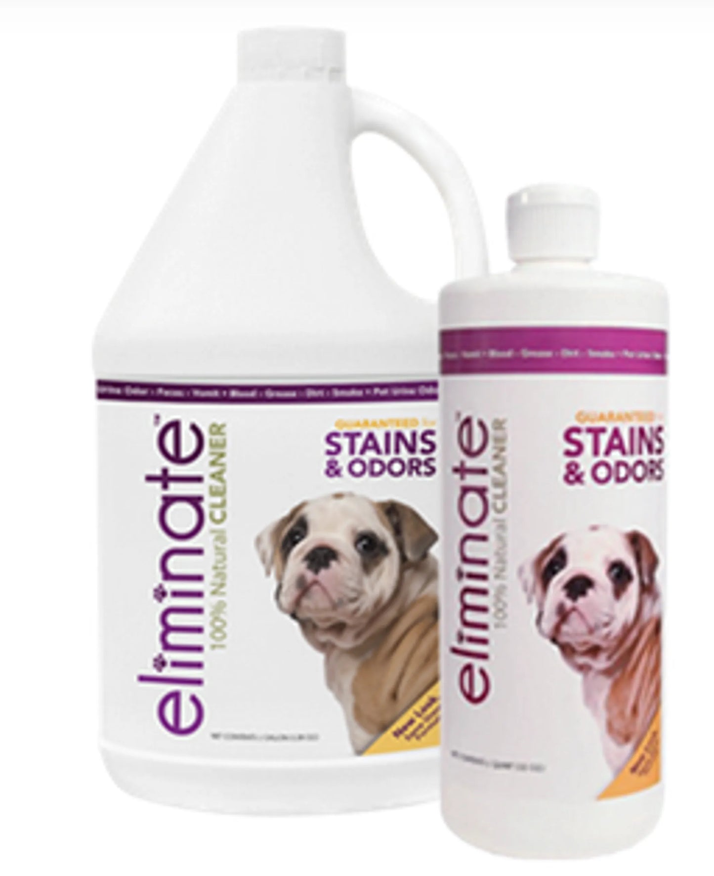 Pet Safe Stain Eliminator & Odor Cleaner