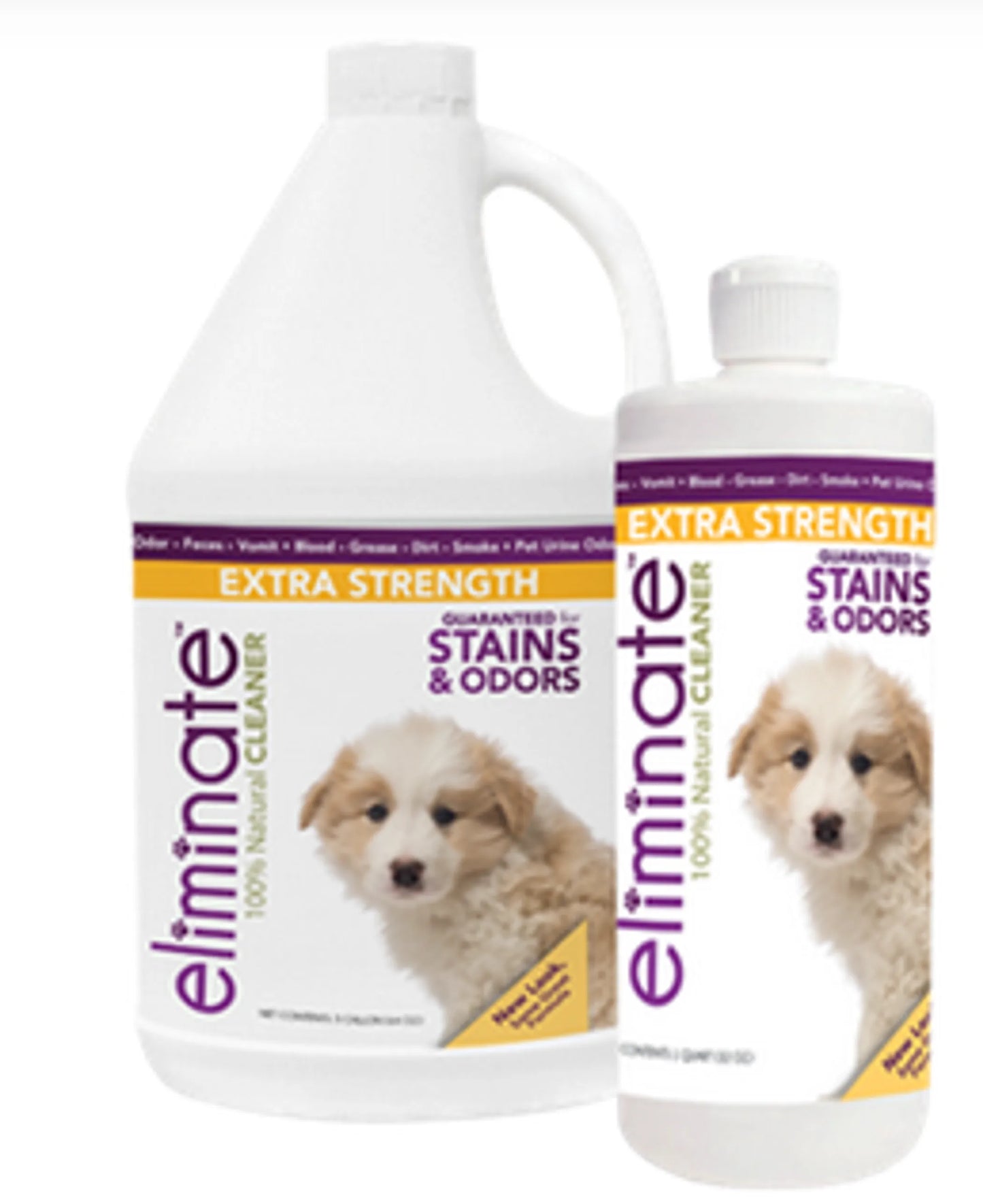 Pet Safe Stain Eliminator & Odor Cleaner