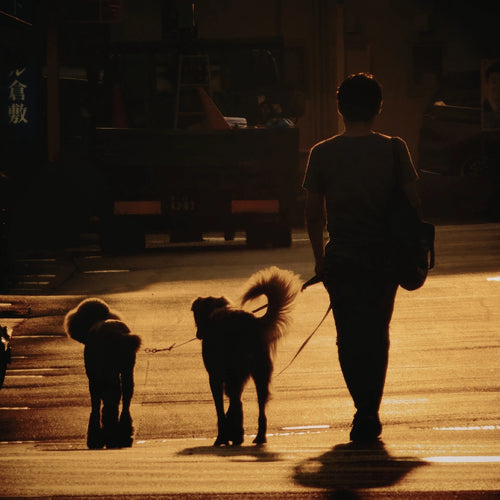 Night Walking Safety